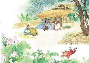 清平乐免费观看14,穿越时空的浪漫传奇即将开启！