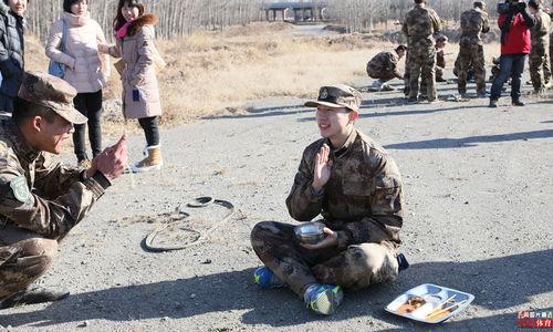 野外裸露日本,自然奇观与生态之谜