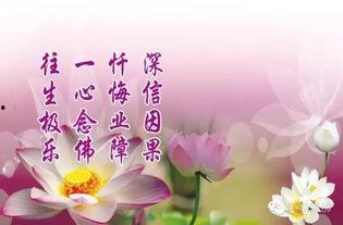 因果教育视频,培养孩子洞察力与决策力的关键