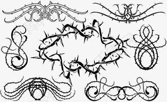 荆棘在线观看免费,免费观看，揭秘人生坎坷之旅