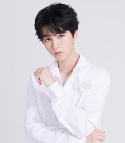 老师爆料王俊凯视频下载,老师爆料背后的真相