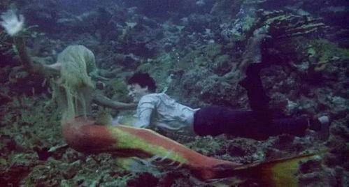 美人鱼汤姆汉克斯版在线播放,海洋奇缘，温情再现！