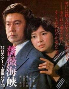 蔷薇海峡在线观看,在线观看之旅