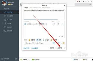 中国无码链接 迅雷下载,一键获取海量资源
